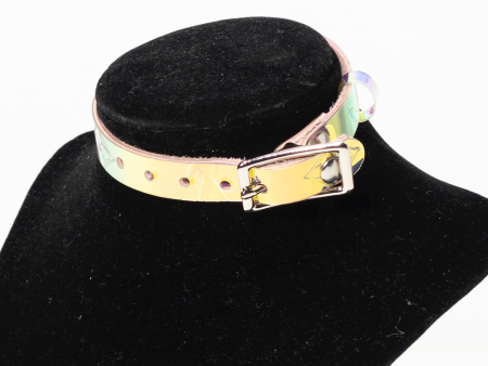 Small Collar Online