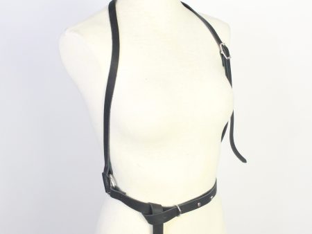 D-Ring Harness Cheap