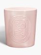 DIPTYQUE - Rose Candle For Cheap