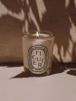 DIPTYQUE - Figuier Classic Candle Cheap